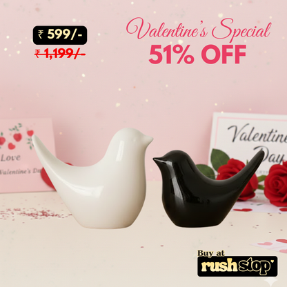 Nordic Minimalist Ceramic Bird Duo