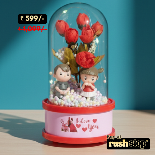 Romantic Red Rose Couple Glass Dome with LED Lights
